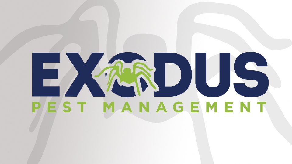 Get In Touch Exodus Pest Management Coffs Harbour
